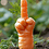 CarrotNStick